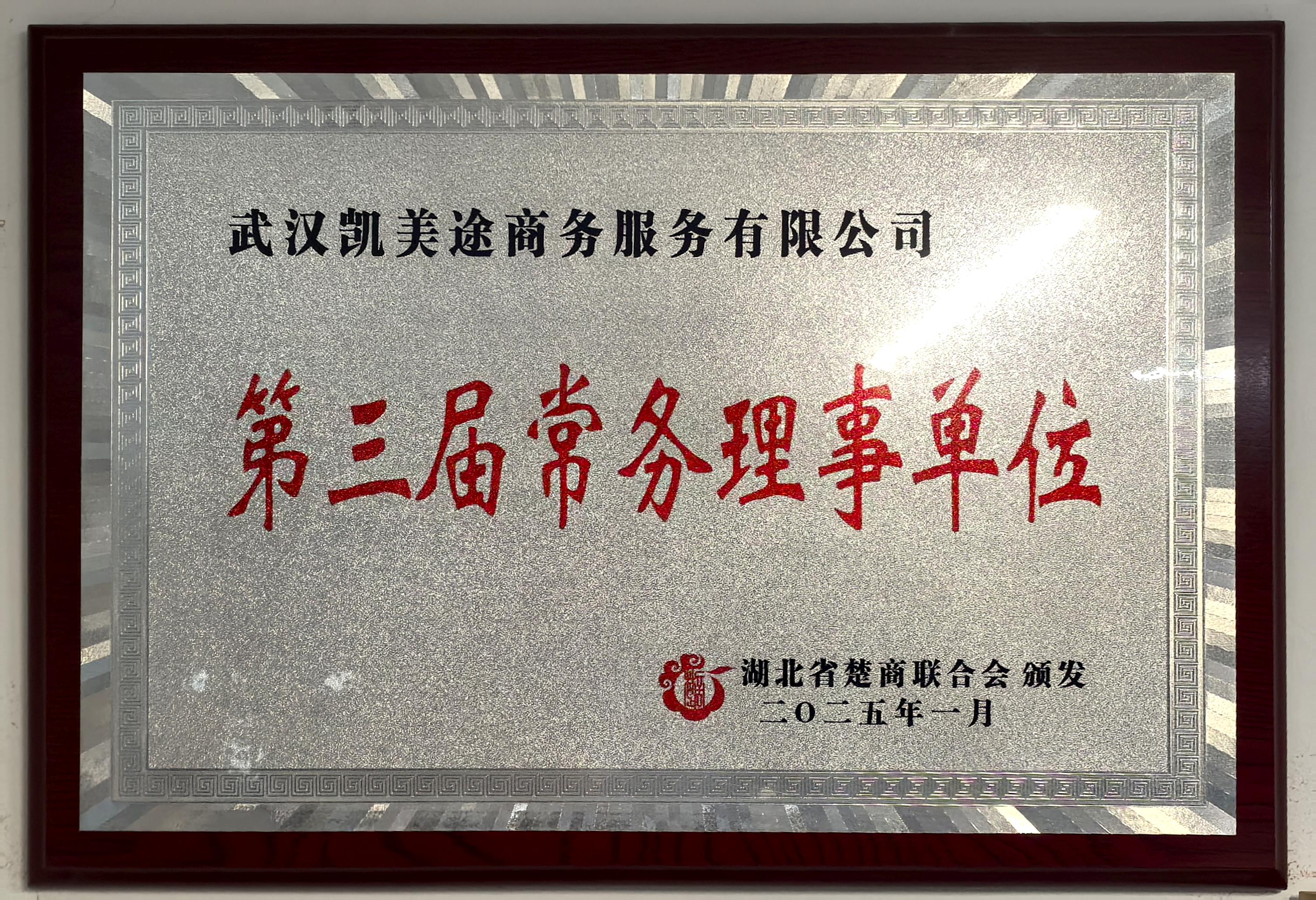 湖北省楚商联合会第三届常务理事